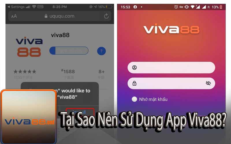 Tại Sao Nên Sử Dụng App Viva88?