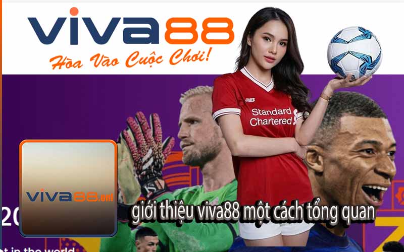 Giới thiệu viva88 một cách tổng quan 